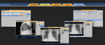 Navigating the Eleva User Interface (UI)